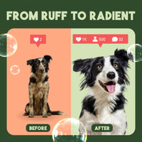 Sunsetting - TropiClean Sweet Mandarin High Concentrate Shampoo for Pets, 1 gal