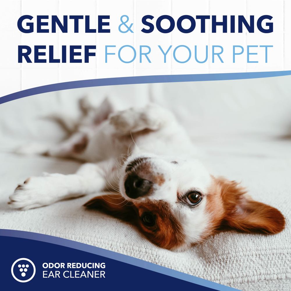 TropiClean OxyMed Ear Cleaner for Pets, 4oz