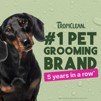 Sunsetting - TropiClean Berry Breeze Deodorizing Spray for Pets, 8oz