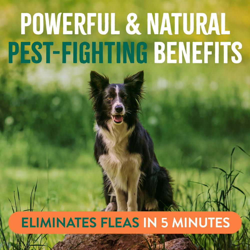 TropiClean Natural* Flea + Tick Dog Spray, 16oz