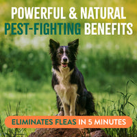 TropiClean Natural* Flea + Tick Dog Spray, 16oz