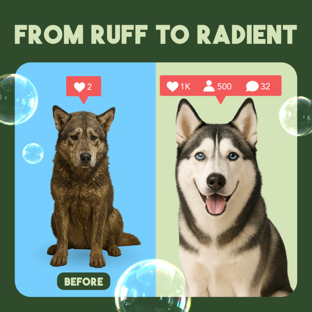 TropiClean Lime & Cocoa Butter Shed Control Conditioner for Pets, 1 gal