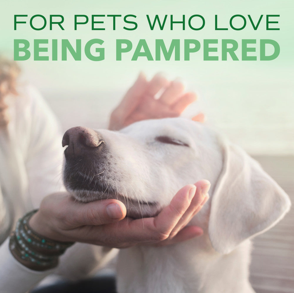 Sunsetting - SPA by TropiClean Lavish Comfort Cologne Spray for Pets, 8oz