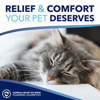 TropiClean OxyMed Waterless Dry Shampoo for Cats, 7.4oz