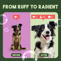 TropiClean Pure Plum High Concentrate Shampoo for Pets, 1 gal