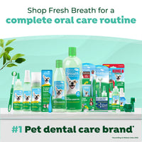 TropiClean Fresh Breath Dental Water Additive + Urinary Tract Support for Cats, 16oz