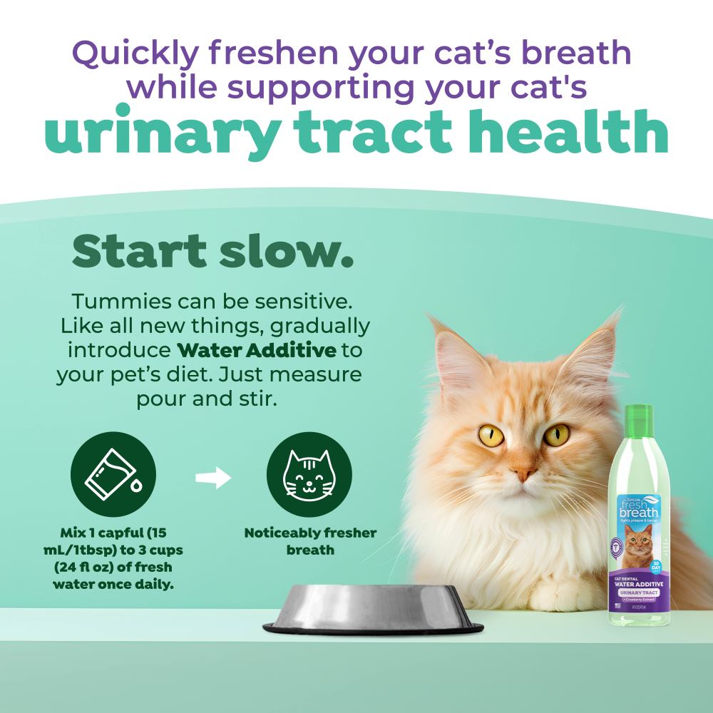TropiClean Fresh Breath Dental Water Additive + Urinary Tract Support for Cats, 16oz