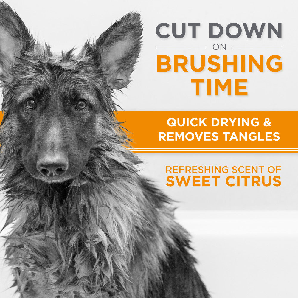 TropiClean PerfectFur Thick Double Coat Shampoo for Dogs, 16oz