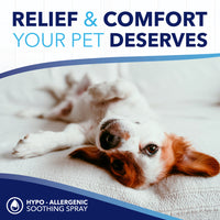 TropiClean OxyMed Hypoallergenic Anti Itch Spray for Dogs, 8oz