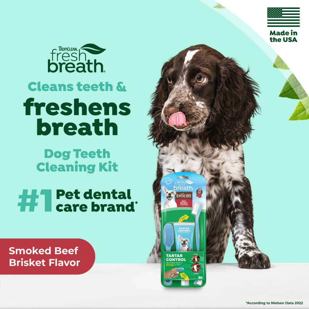Fresh Breath Enticers Smoked Beef Brisket Oral Care Kit, 2oz