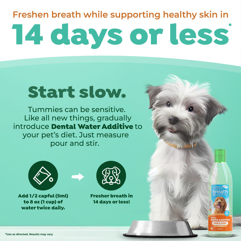 TropiClean Fresh Breath Dental Health Solution Supports Skin Health for Dogs, 16oz