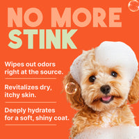 Sunsetting - TropiClean Sweet Mandarin High Concentrate Shampoo for Pets, 1 gal