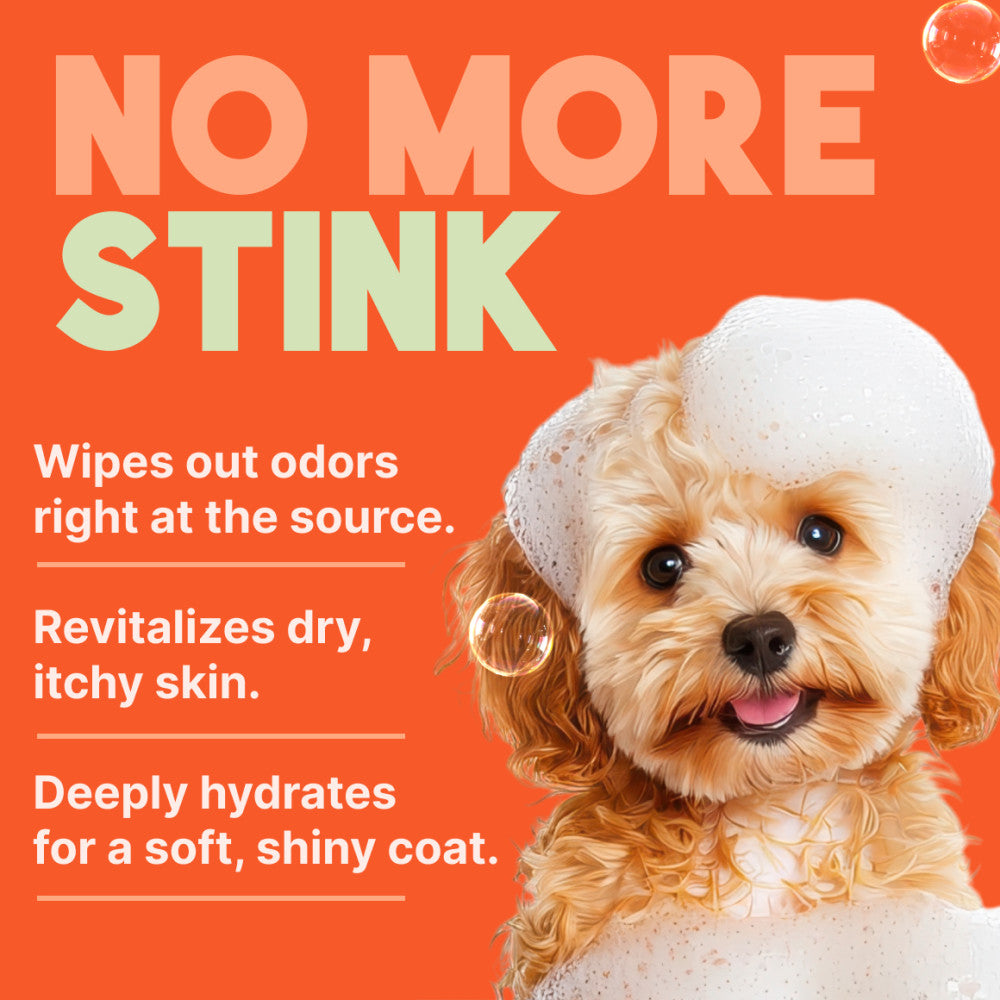 Sunsetting - TropiClean Sweet Mandarin High Concentrate Shampoo for Pets, 1 gal