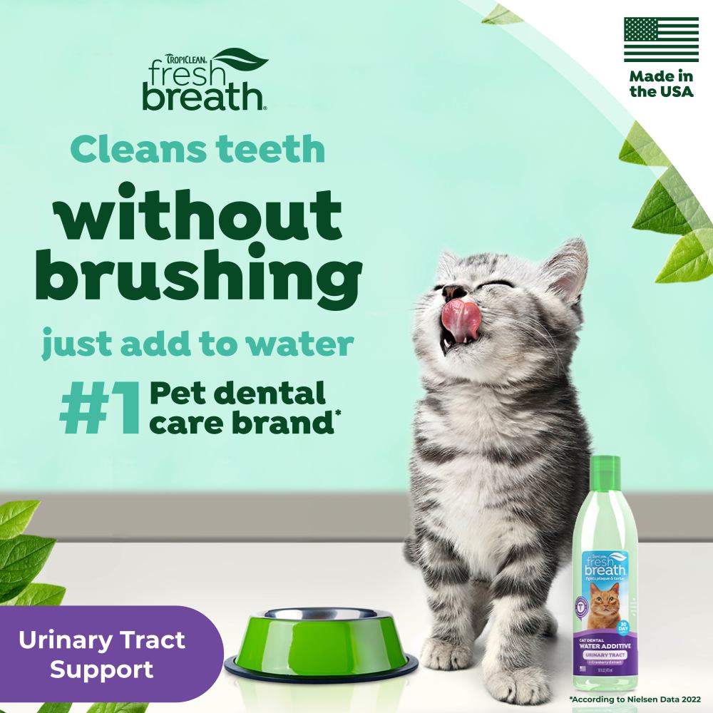 TropiClean Fresh Breath Dental Water Additive + Urinary Tract Support for Cats, 16oz