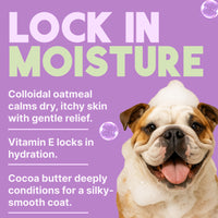 TropiClean Kiwi & Cocoa Butter Moisturizing Conditioner for Pets, 1 gal