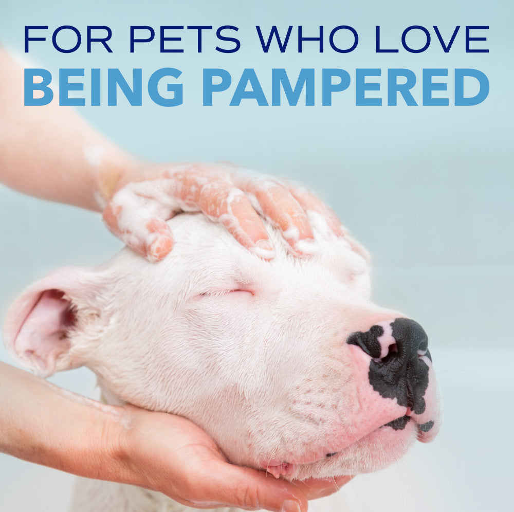 SPA by TropiClean Tear Stain Remover for Pets, 1 gal