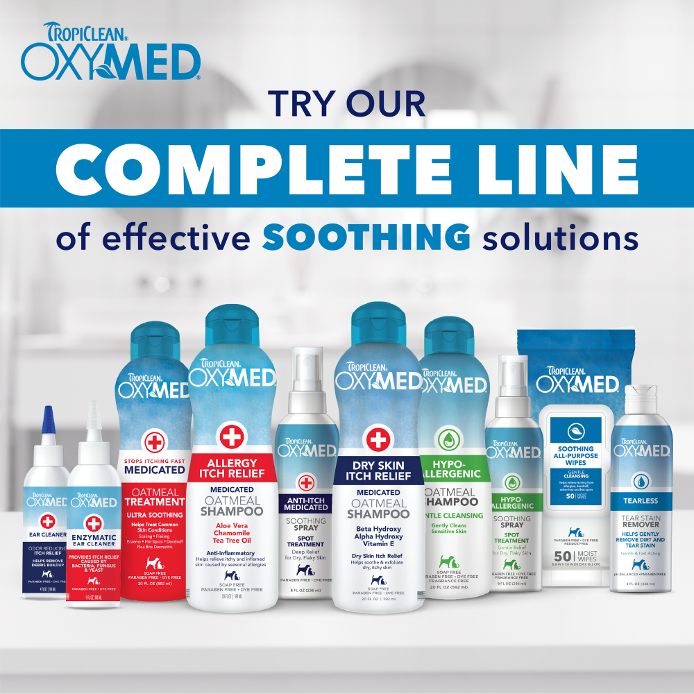 TropiClean OxyMed Allergy Itch Relief Shampoo, 20oz