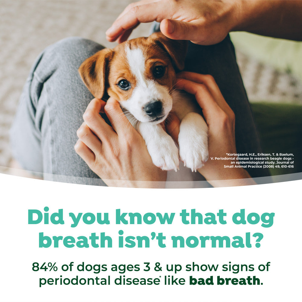 TropiClean Fresh Breath Dental Water Additive for Puppies, 8oz