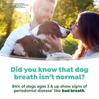 TropiClean Fresh Breath Mint Foam for Pets, 4.5oz