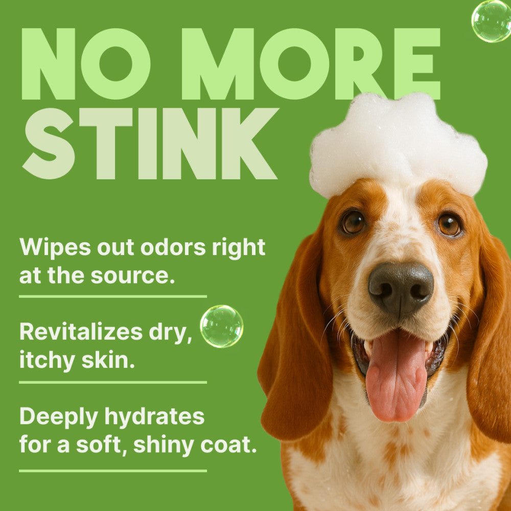 TropiClean Aloe & Coconut Deodorizing Shampoo for Pets, 1 gal