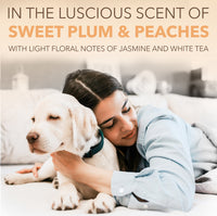 Sunsetting - SPA by TropiClean Lavish Renew Shampoo for Pets, 1 gal