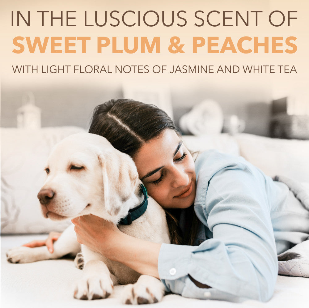 Sunsetting - SPA by TropiClean Lavish Renew Shampoo for Pets, 1 gal