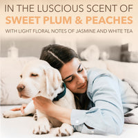 Sunsetting - SPA by TropiClean Lavish Renew Cologne Spray for Pets, 8oz