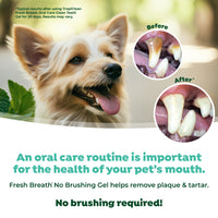 TropiClean Fresh Breath No Brushing Peanut Butter Flavor Clean Teeth Dental & Oral Care Gel for Dogs, 4oz