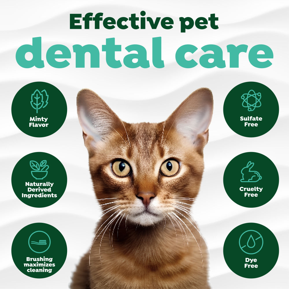 TropiClean Fresh Breath Plaque & Tartar Control Kit for Cats