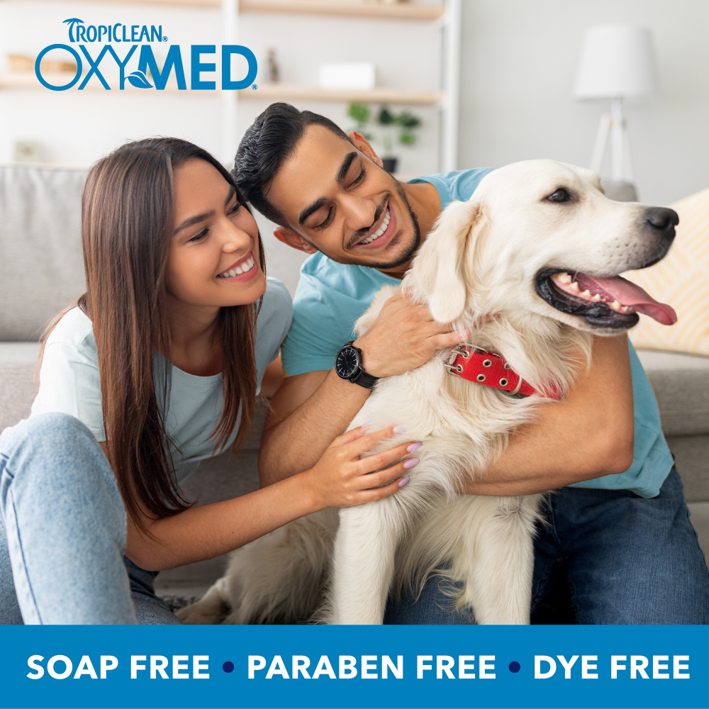 TropiClean OxyMed Allergy Itch Relief Shampoo, 20oz