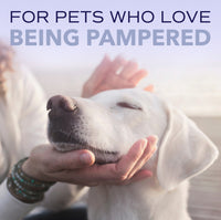 Sunsetting - SPA by TropiClean Lavish White Coat Shampoo for Pets, 1 gal