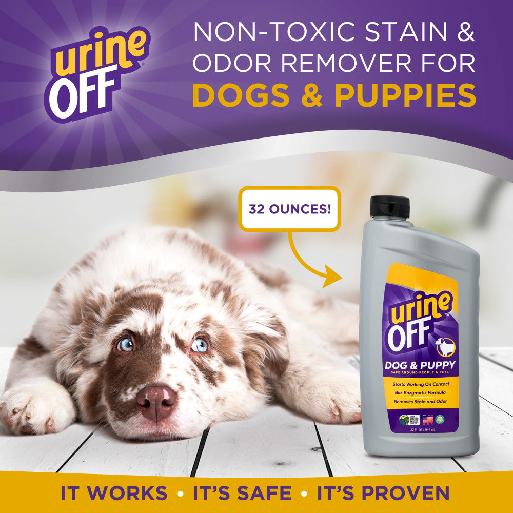 Urine Off Dog & Puppy Carpet Applicator, 32oz