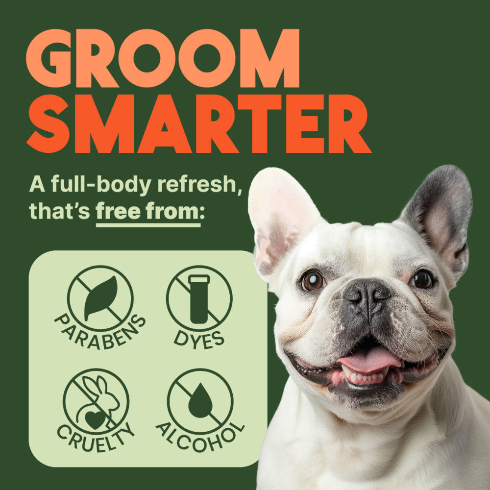 TropiClean Papaya Deodorizing Spray for Pets, 4oz