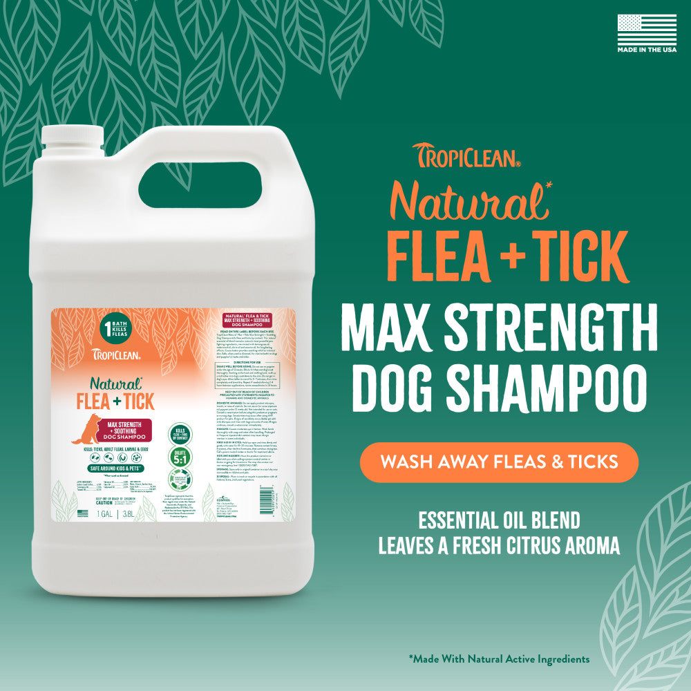 TropiClean Natural* Flea + Tick Maximum Strength + Soothing Shampoo for Dogs, 1 gal