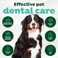 Fresh Breath Enticers Smoked Beef Brisket Oral Care Kit, 2oz