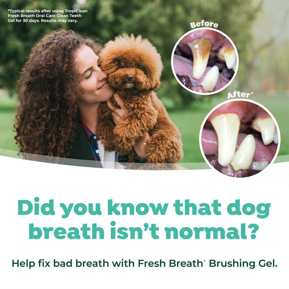 TropiClean Fresh Breath Plaque & Tartar Control Kit for Puppies