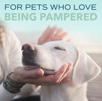 Sunsetting - SPA by TropiClean Lavish Fresh Shampoo for Pets, 1 gal