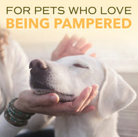 Sunsetting - SPA by TropiClean Lavish Nourish Conditioner for Pets, 1 gal