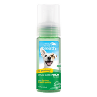 TropiClean Fresh Breath Mint Foam for Pets, 4.5oz