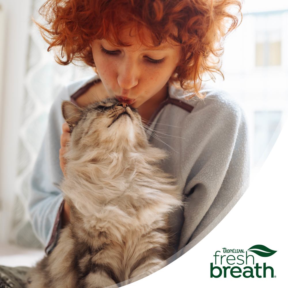 TropiClean Fresh Breath Dental Water Additive + Urinary Tract Support for Cats, 16oz