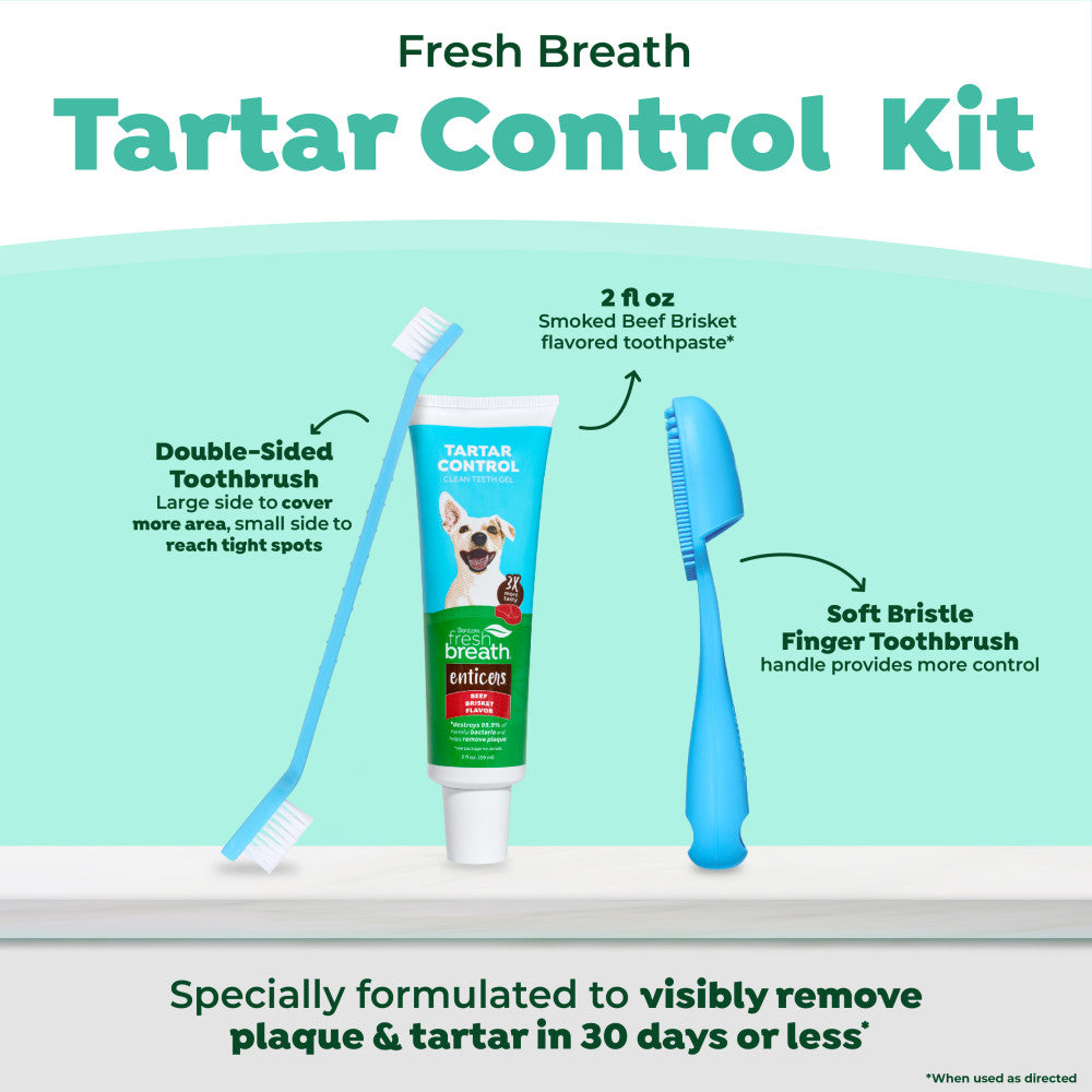 Fresh Breath Enticers Smoked Beef Brisket Oral Care Kit, 2oz