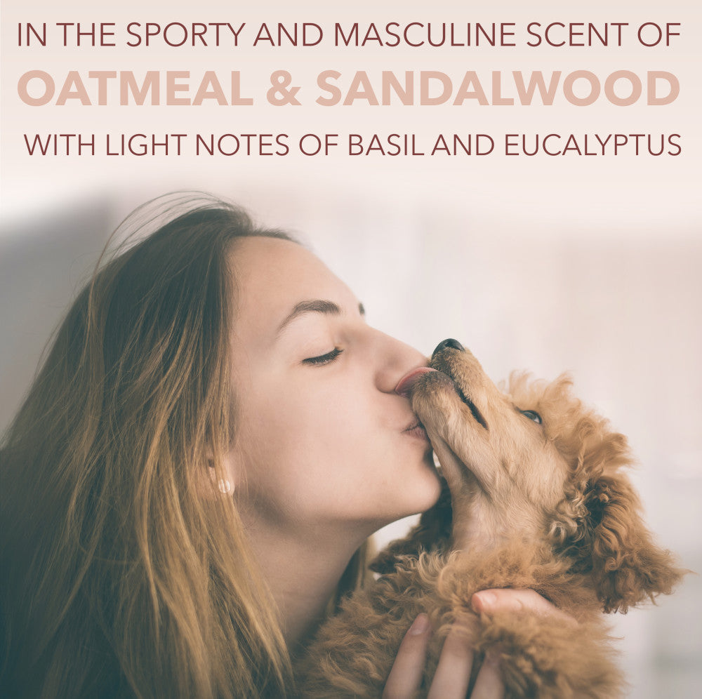 Sunsetting - SPA by TropiClean Lavish For Him Shampoo for Pets, 1 gal