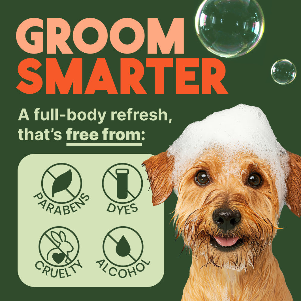 Sunsetting - TropiClean Sweet Mandarin High Concentrate Shampoo for Pets, 1 gal