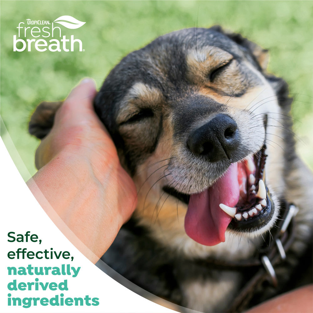 TropiClean Fresh Breath Plaque & Tartar Control Kit for Large Dogs