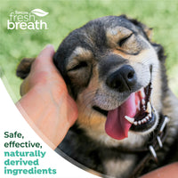 TropiClean Fresh Breath Plaque & Tartar Control Kit for Large Dogs