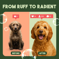 TropiClean Papaya & Coconut Luxury 2-in-1 Shampoo and Conditioner for Pets, 1 gal