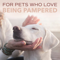 Sunset - SPA by TropiClean Lavish For Him Cologne Spray for Pets, 8oz