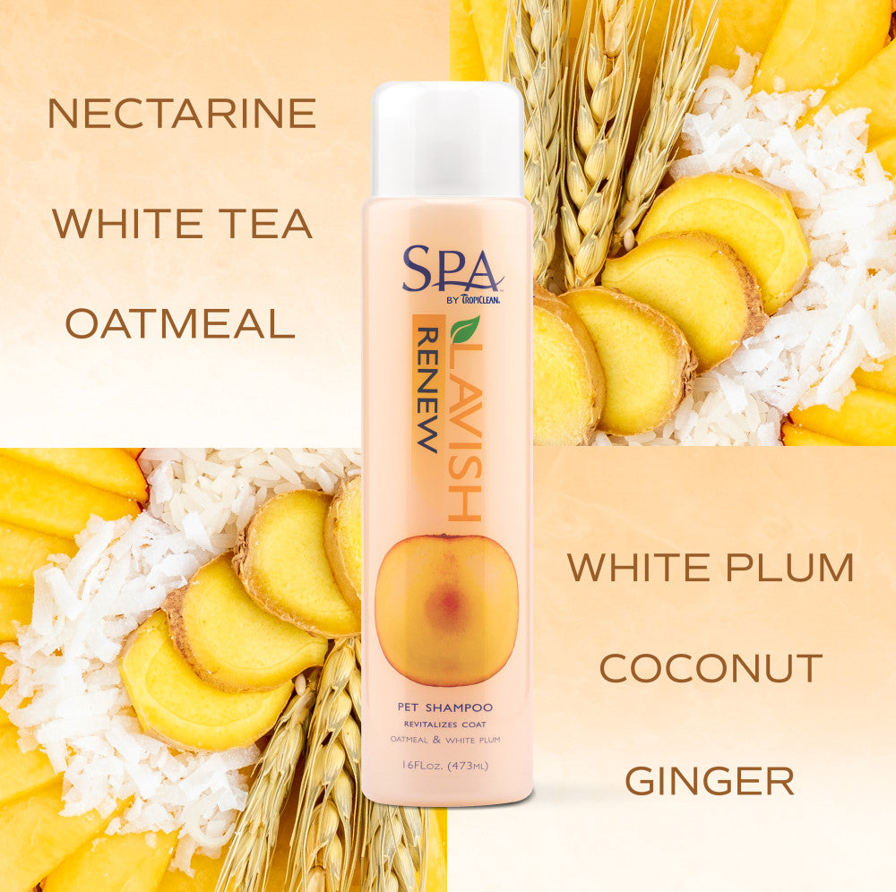 Sunsetting - SPA by TropiClean Lavish Renew Shampoo for Pets, 1 gal