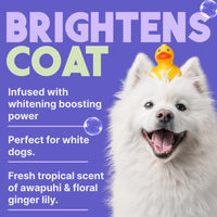 TropiClean Awapuhi & Coconut Whitening Shampoo for Pets, 1 gal