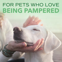 Sunsetting - SPA by TropiClean Lavish Comfort Shampoo for Pets, 1 gal